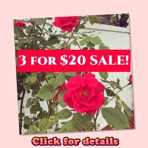 3 for $20 SALE!
